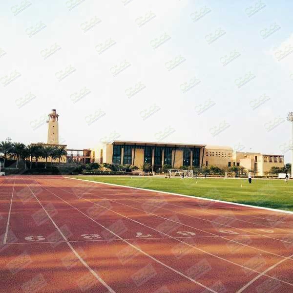 The American University in Cairo (AUC)