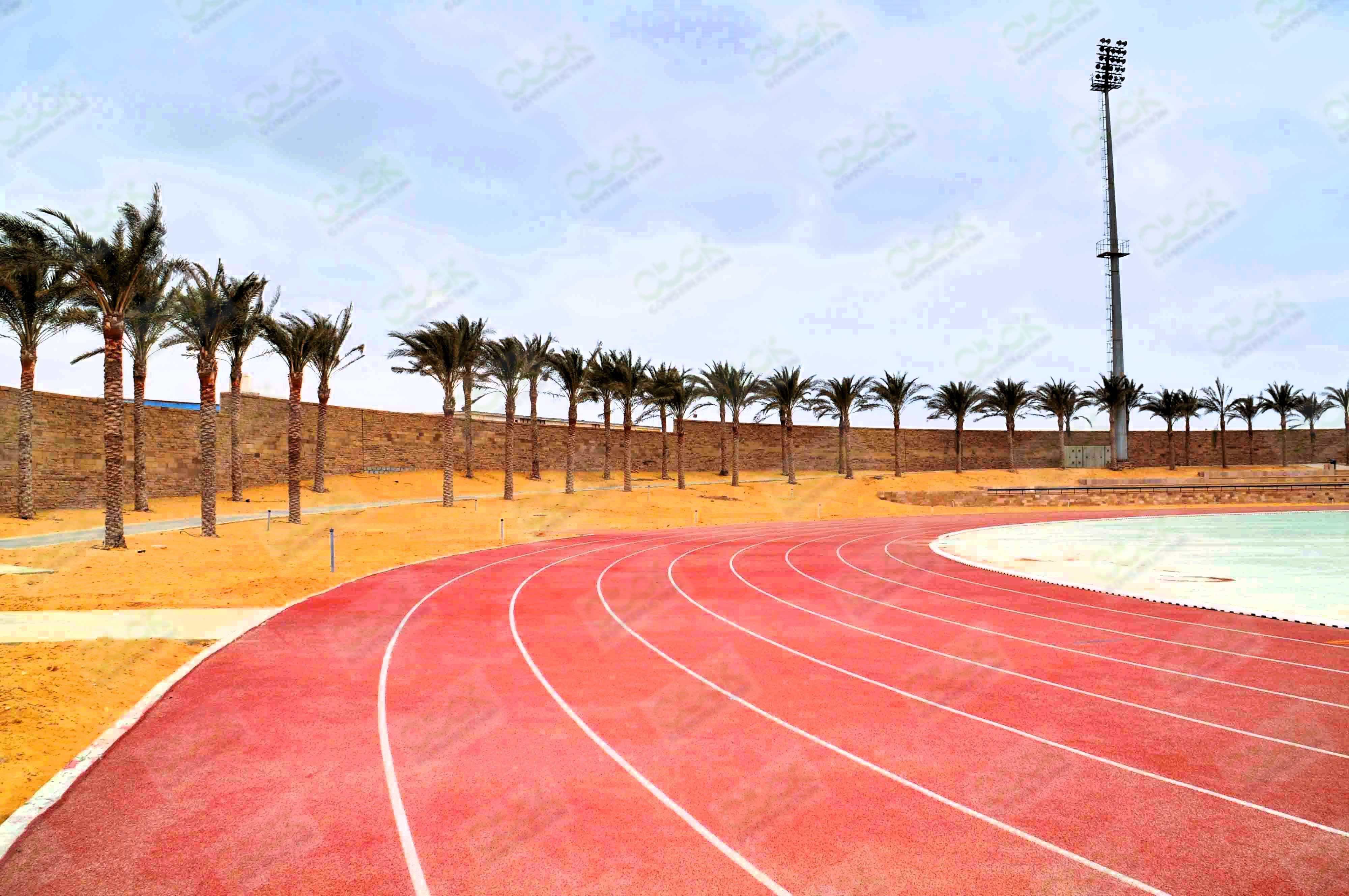 The American University in Cairo (AUC)