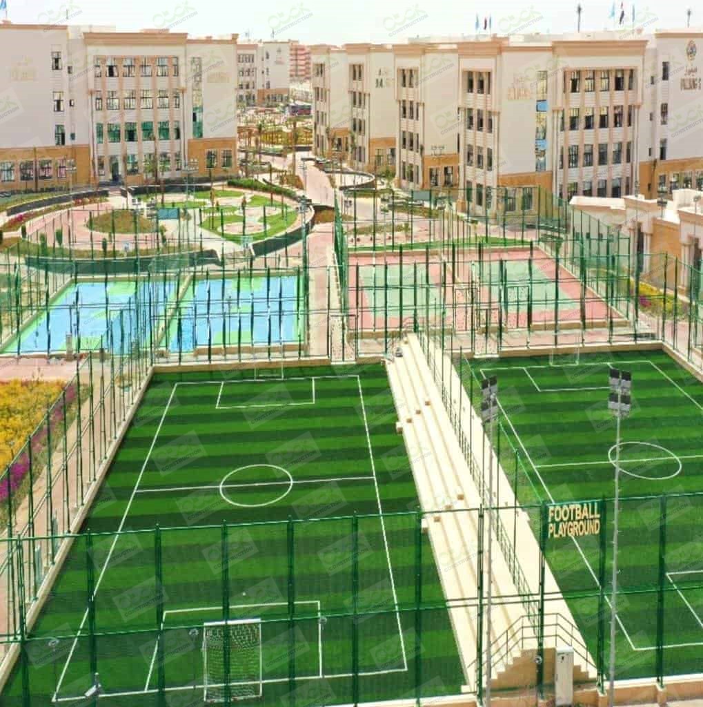 New Ismailia National University