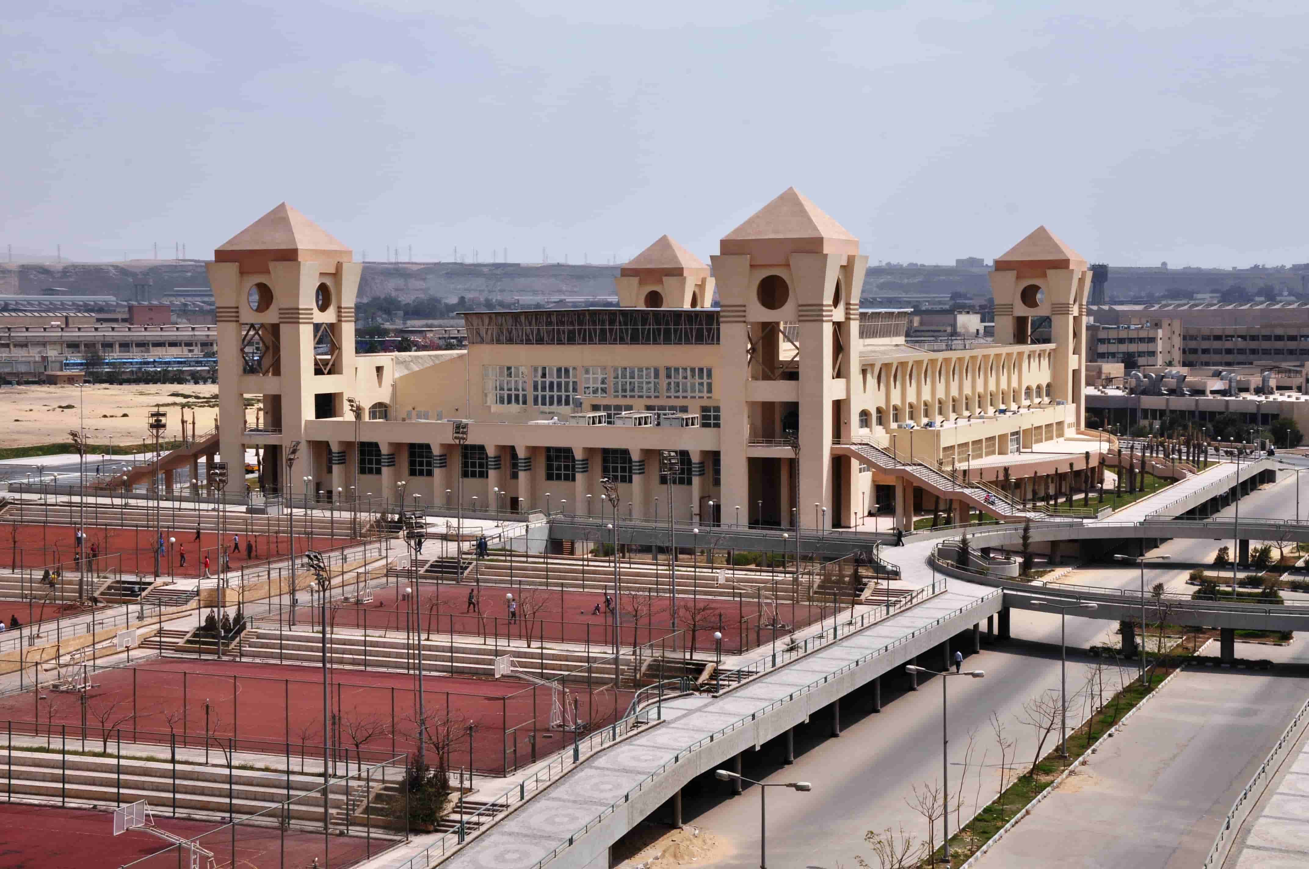 Helwan University